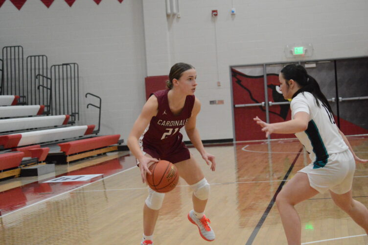 Fairmont girls aim to rekindle winning streak in sections